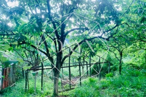 Изображение 7