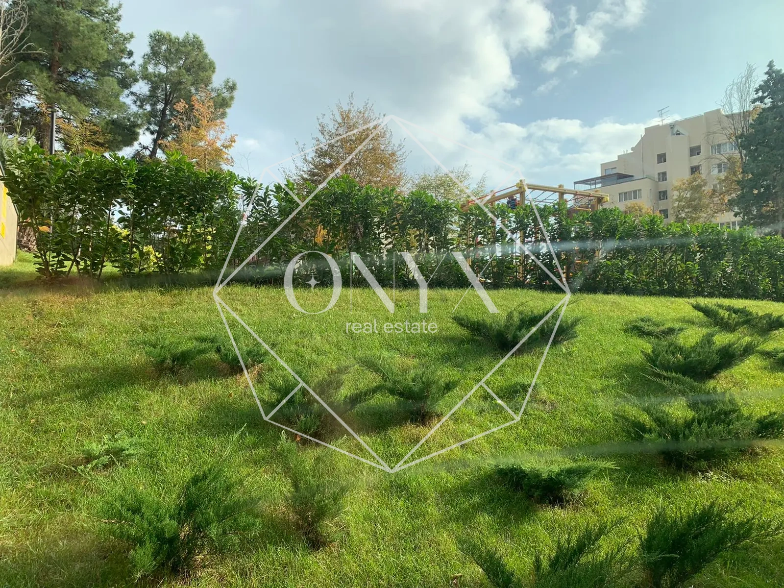 Изображение 21