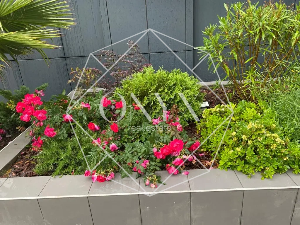 Изображение 13