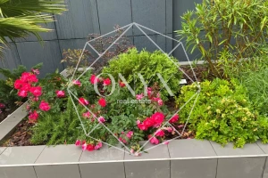 Изображение 13