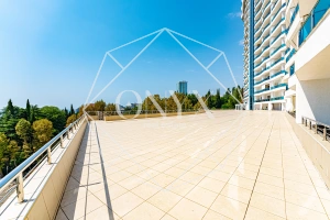 Изображение 38