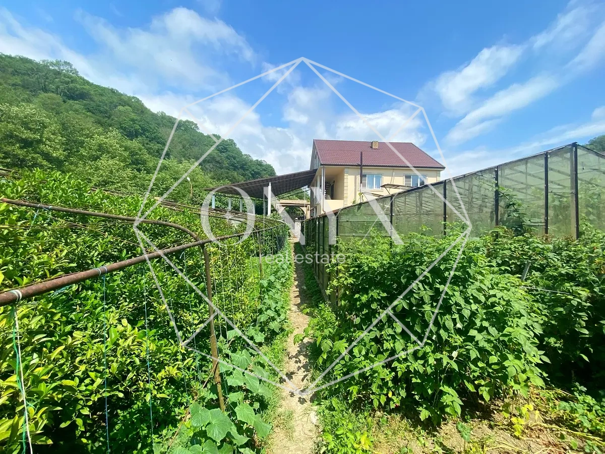 Изображение 8