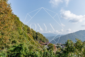 Изображение 10