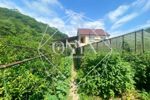 Изображение 8