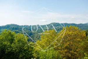 Изображение 13