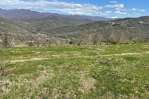 Участок в Каштанах