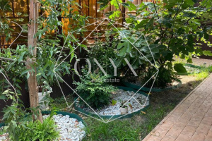 Изображение 22