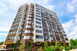 Изображение 11