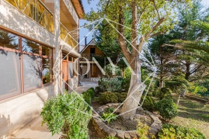 Изображение 12