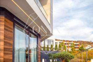 Изображение 14