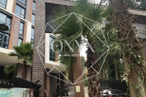 Изображение 16