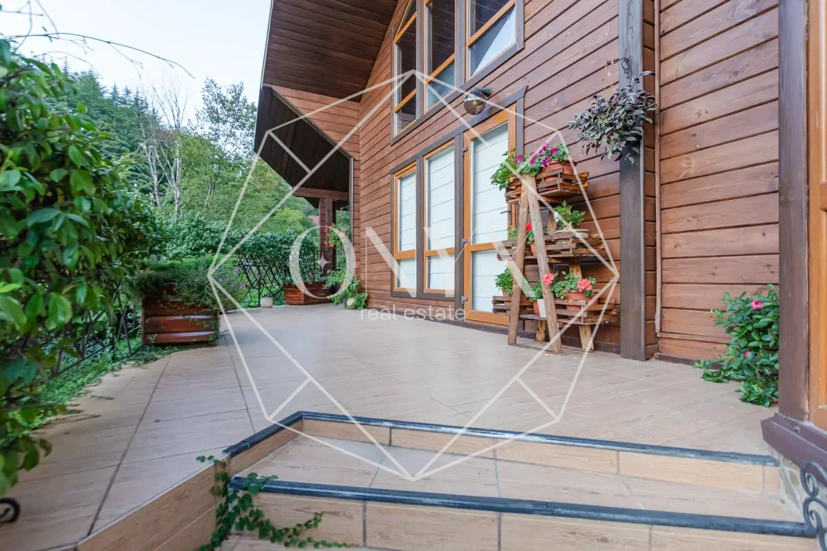 Изображение 23