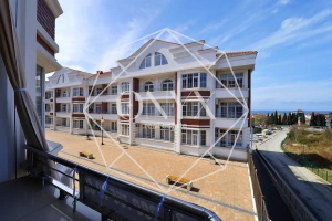 Изображение 11