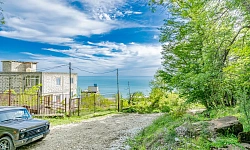 Участок среди деревьев 