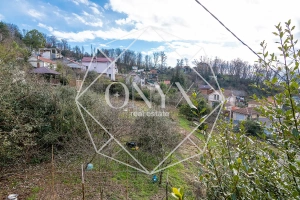 Изображение 10