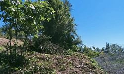 Участок с видом на горы