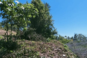 Участок с видом на горы