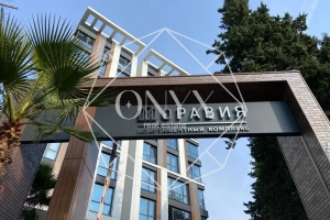 Изображение 11