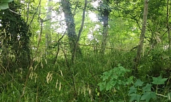 Участок в Вардане под строительство коттеджно...