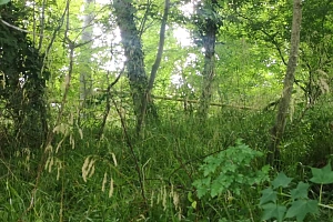 Участок в Вардане под строительство коттеджно...