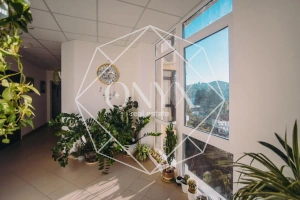 Изображение 10