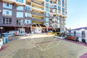 Изображение 12