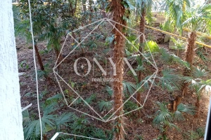 Изображение 9