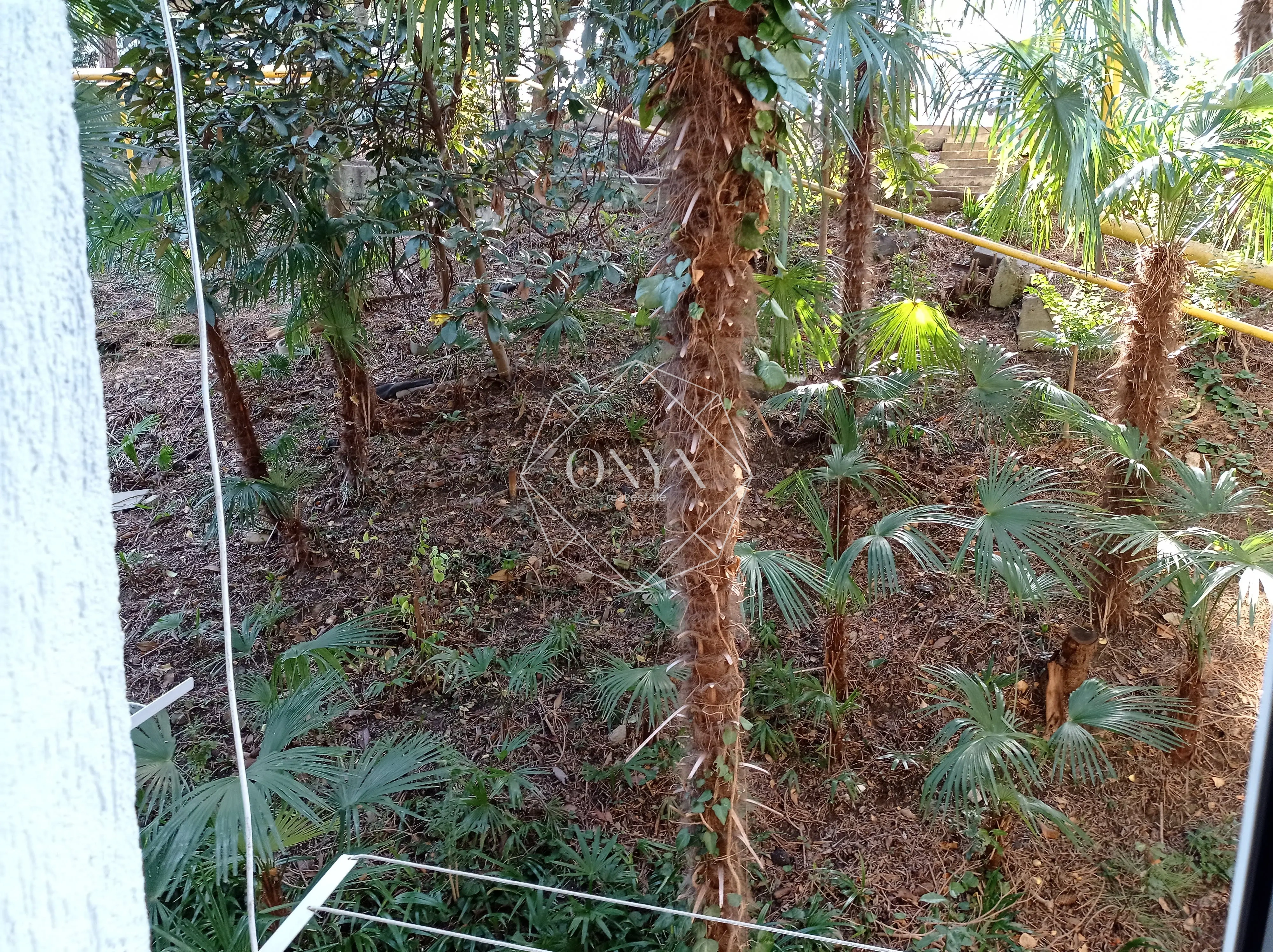 Изображение 9