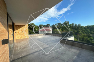 Изображение 11