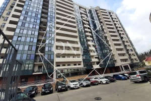 Изображение 11