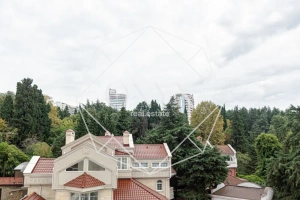 Изображение 15