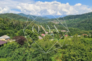 Изображение 24