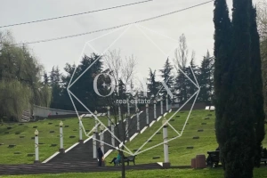 Изображение 22