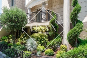 Изображение 12