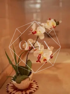 Изображение 17