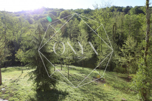 Изображение 17