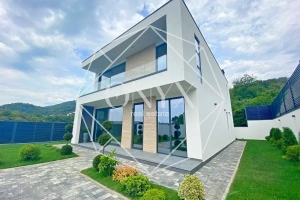 Изображение 12