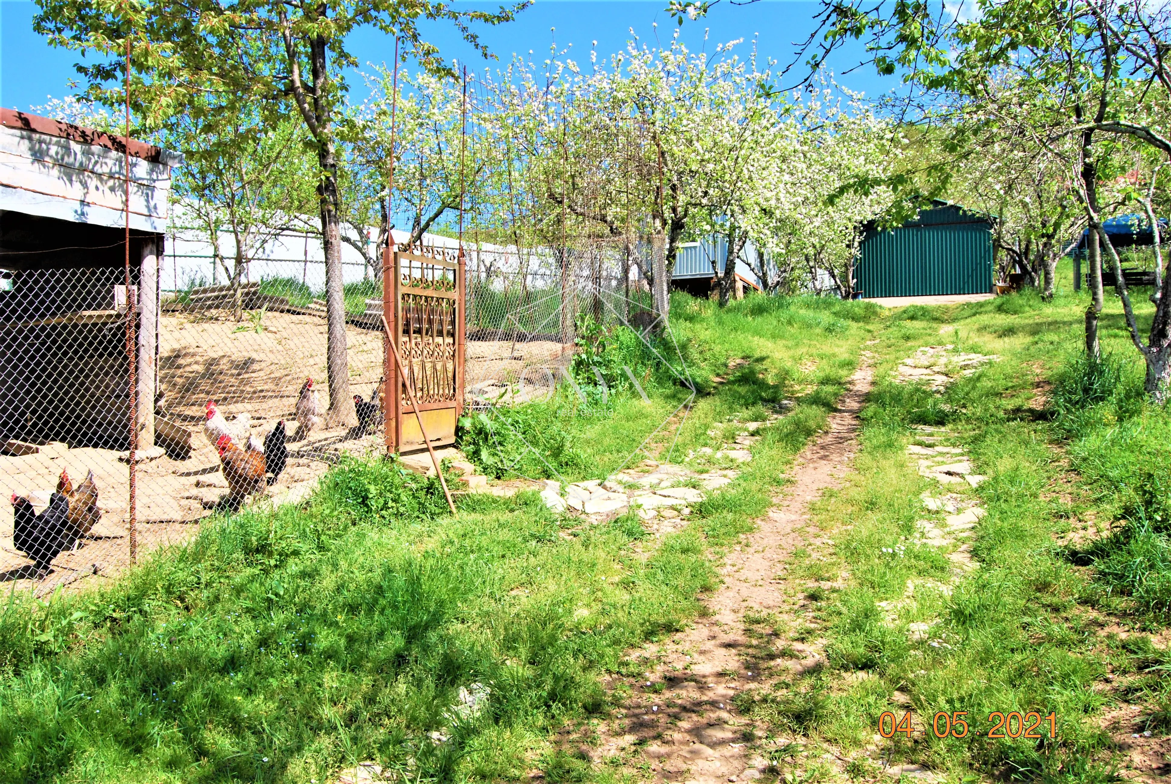 Изображение 4