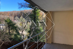 Изображение 12