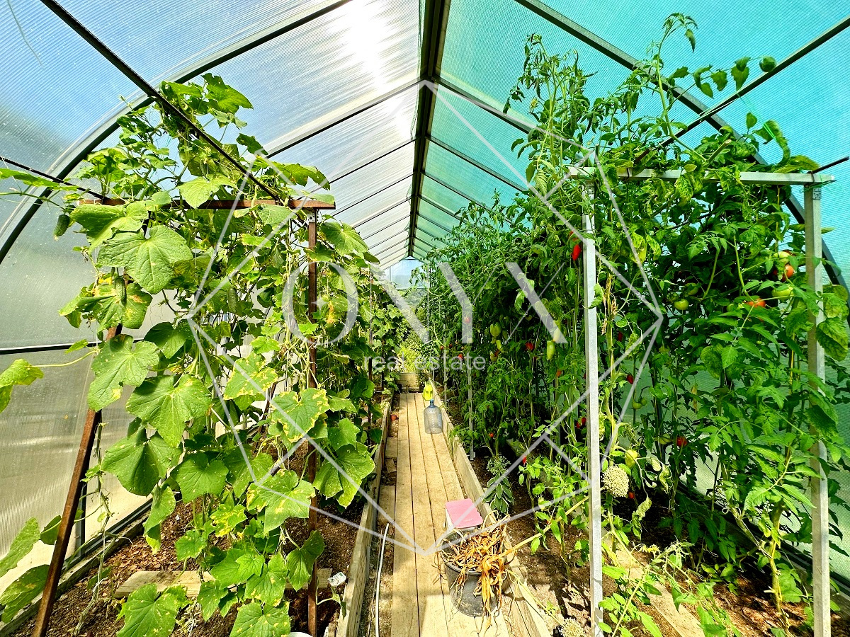 Изображение 18