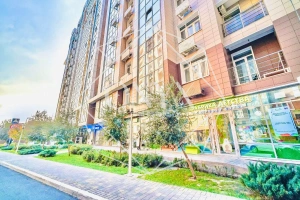 Изображение 11