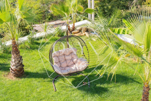 Изображение 8