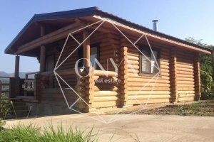 Изображение 13