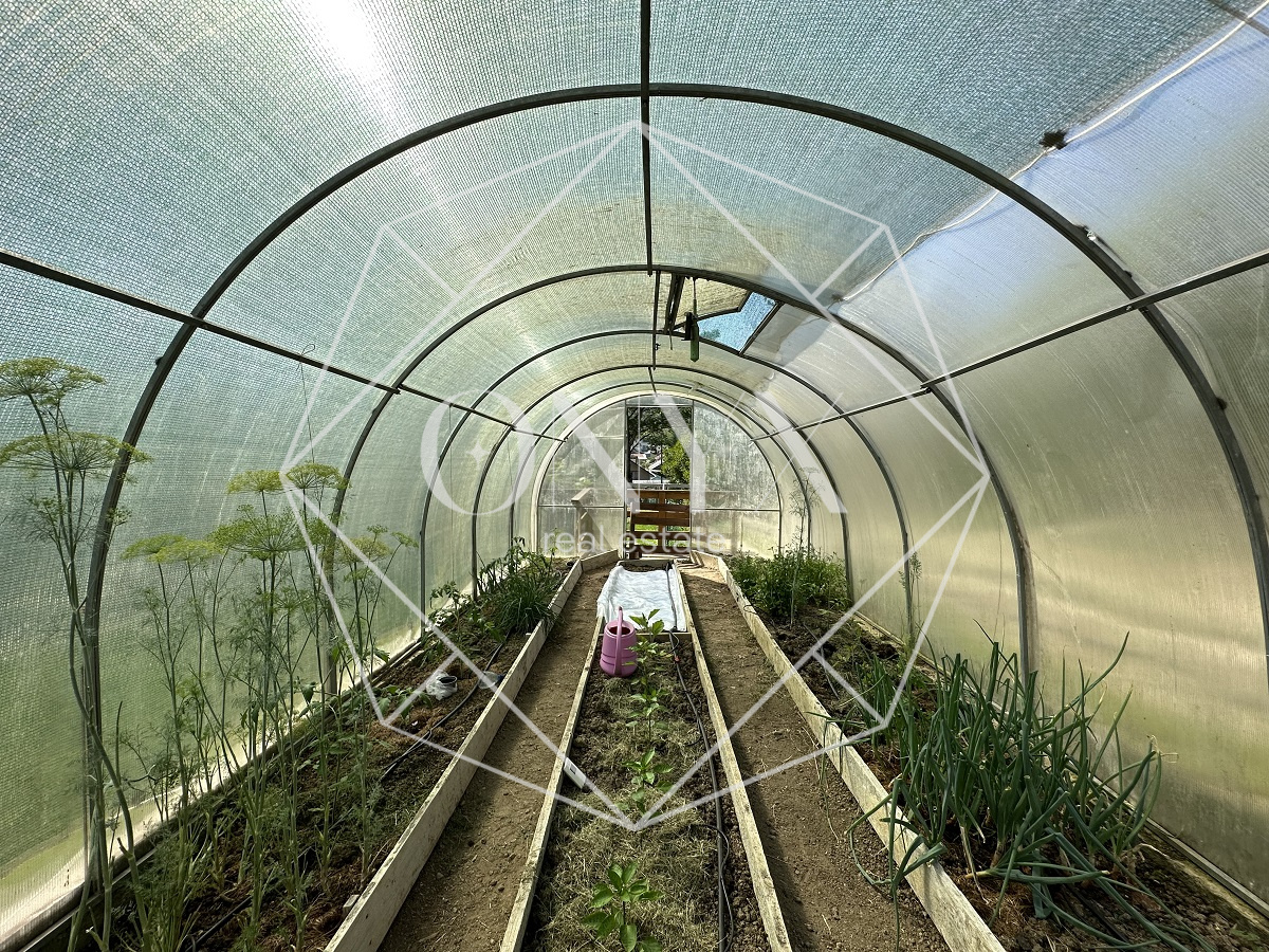 Изображение 19