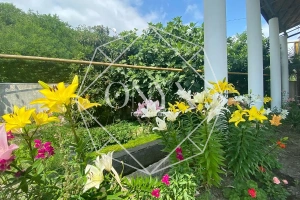 Изображение 27