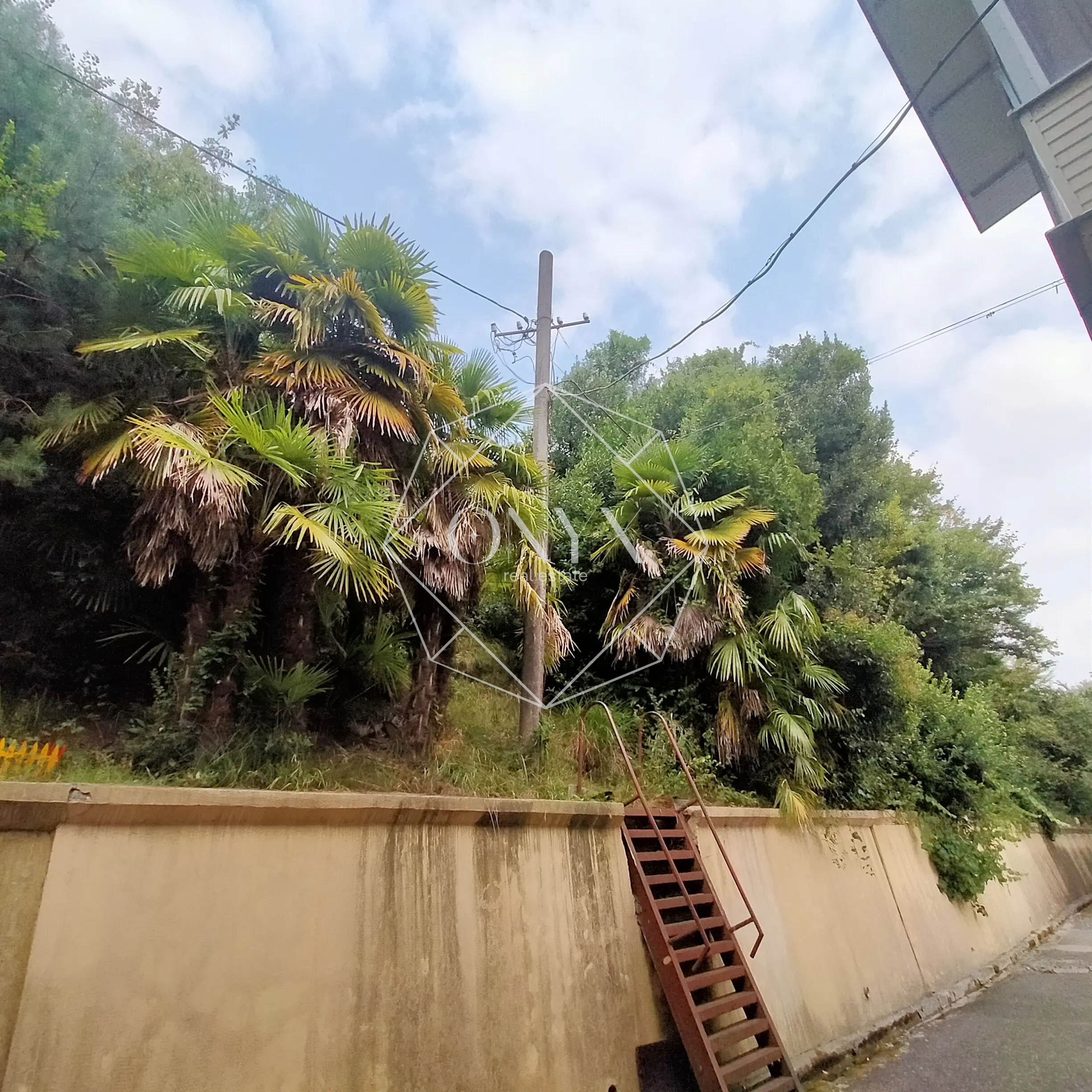 Изображение 12