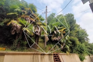 Изображение 12