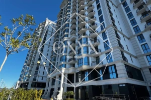 Изображение 11