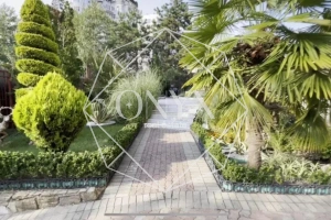 Изображение 9