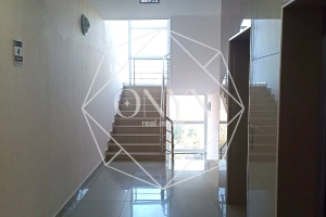 Изображение 11